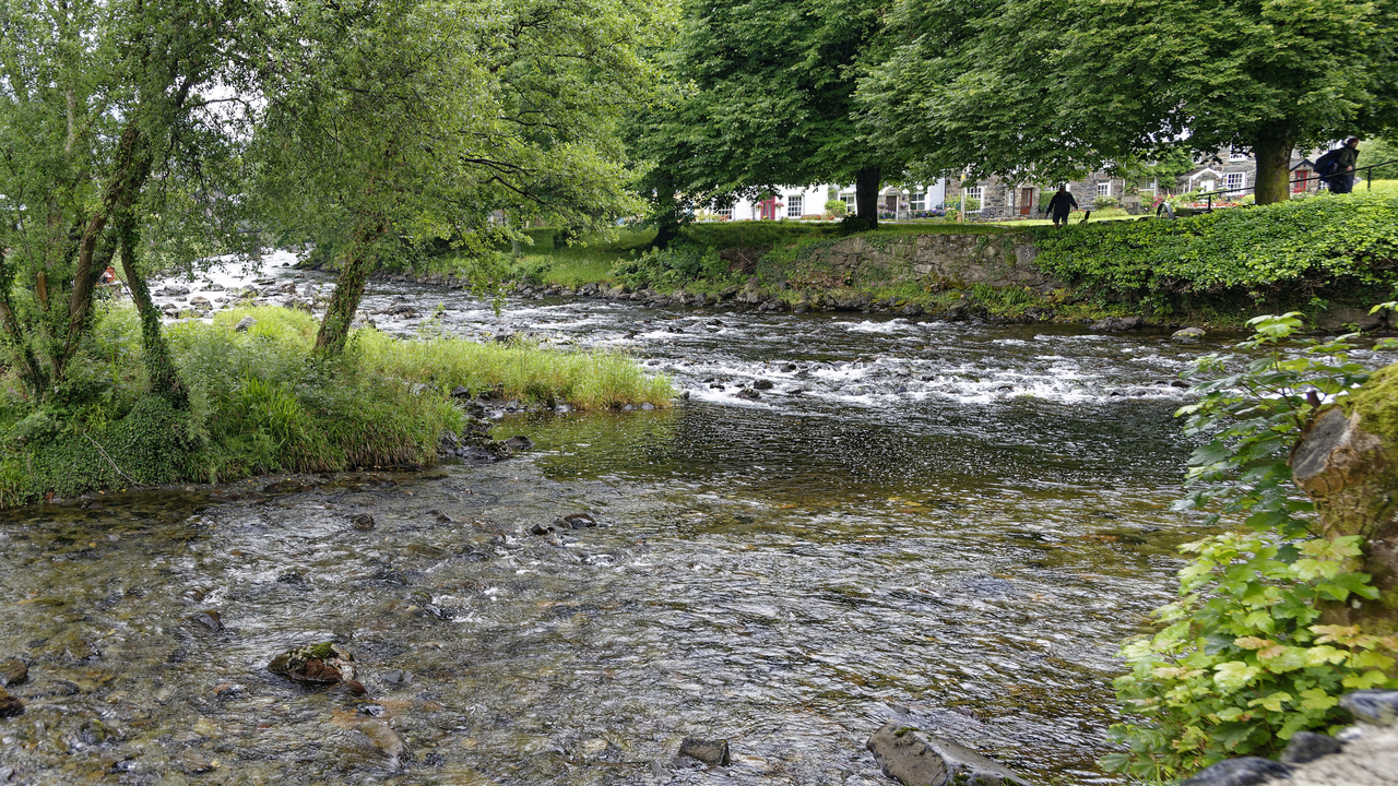 20170628 145121•Bedd Gelert•Wales